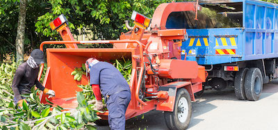 tree service in Jersey City, NJ